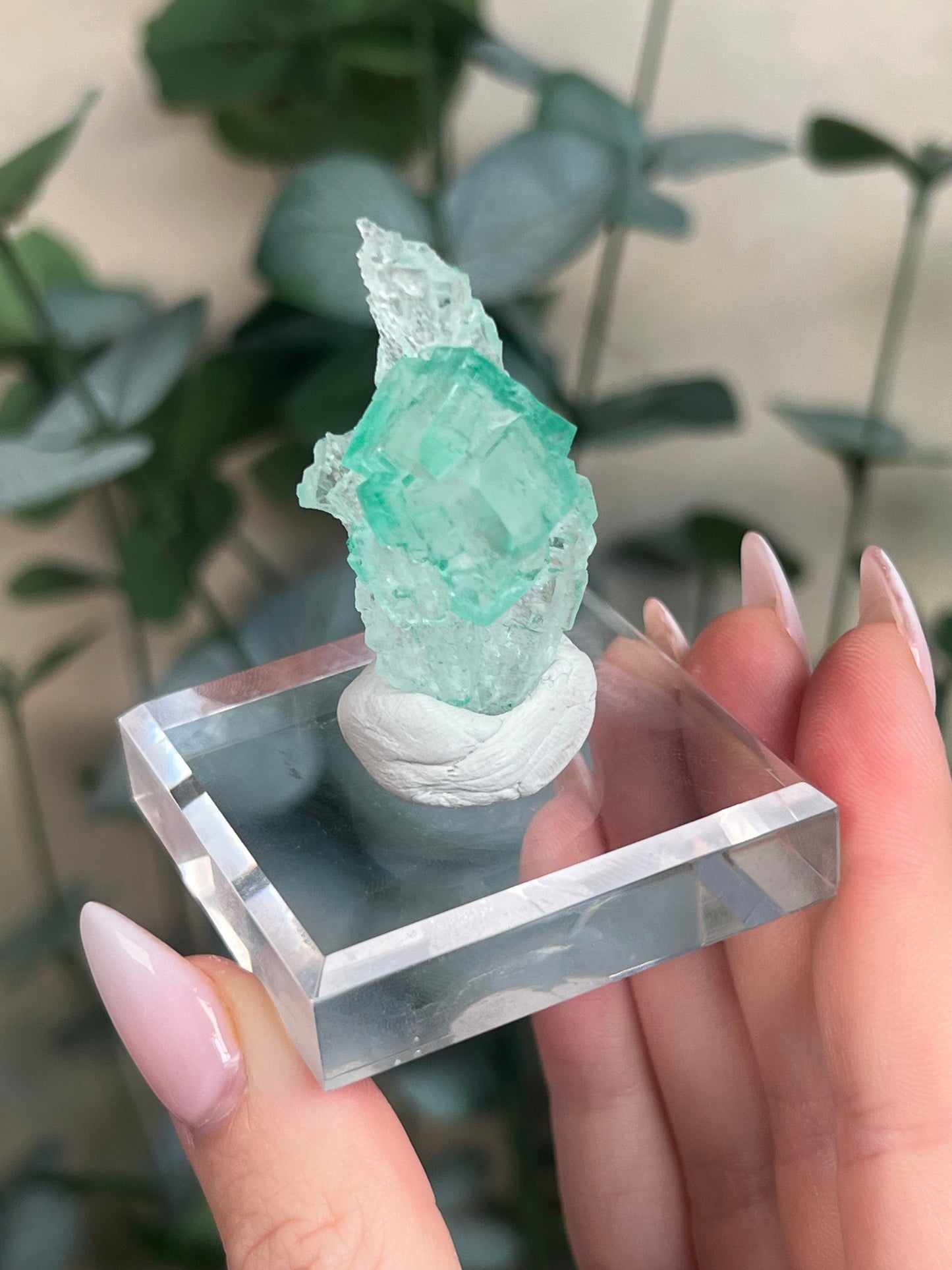 Green Halite with Display Block (70KF)