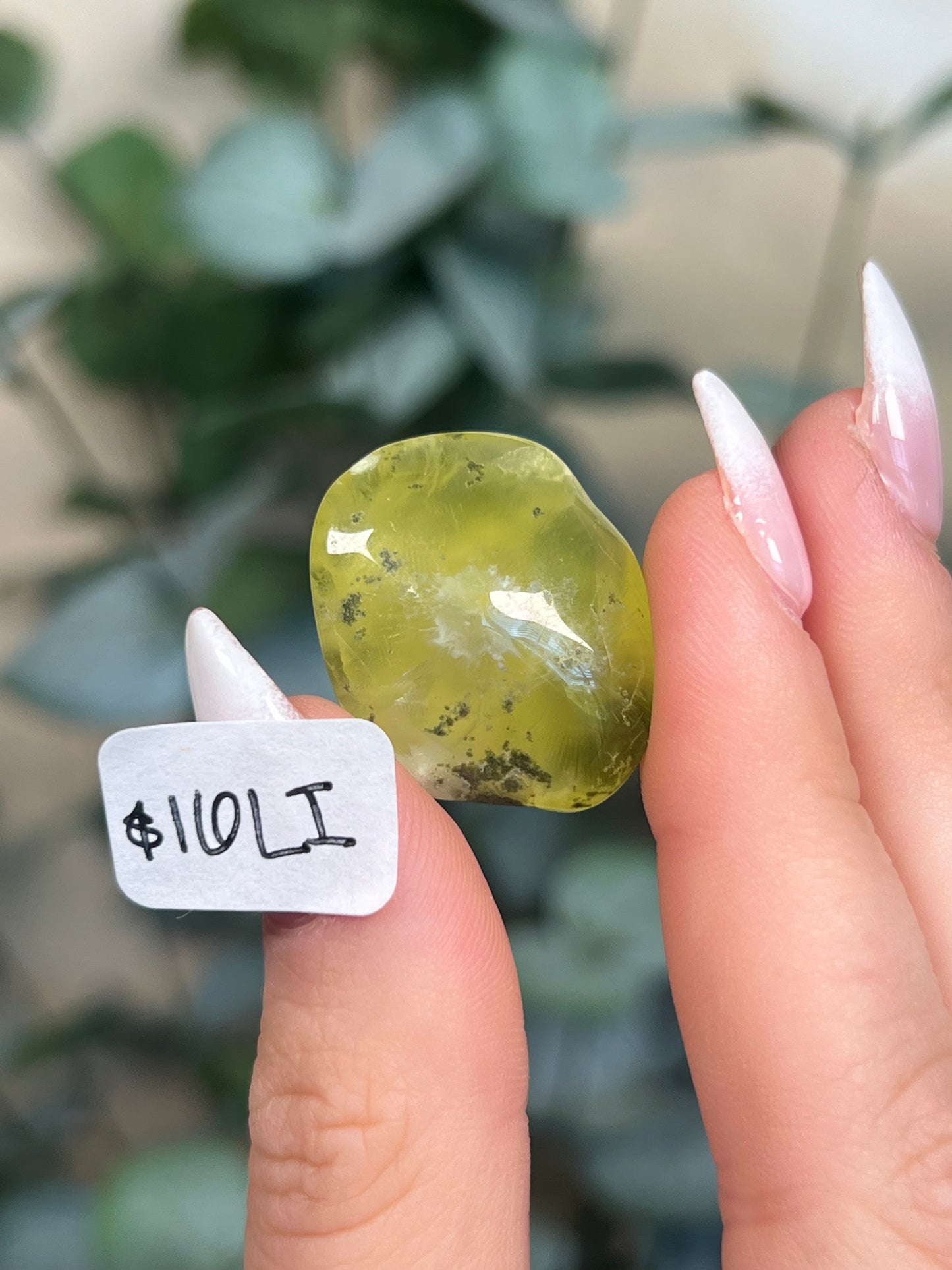 Australian Prehnite Polished (16-24, 6 options)