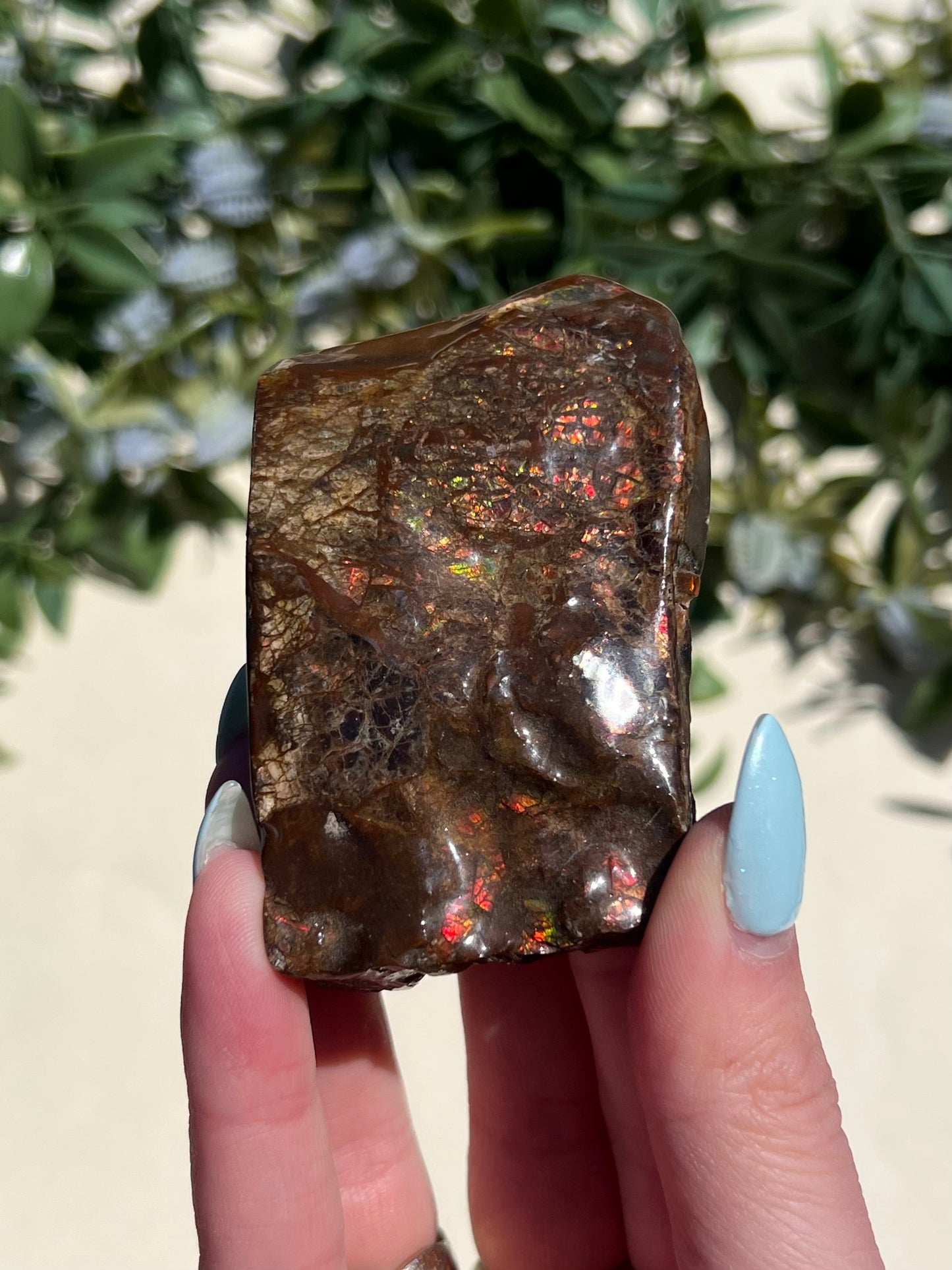 Ammolite (45AE)