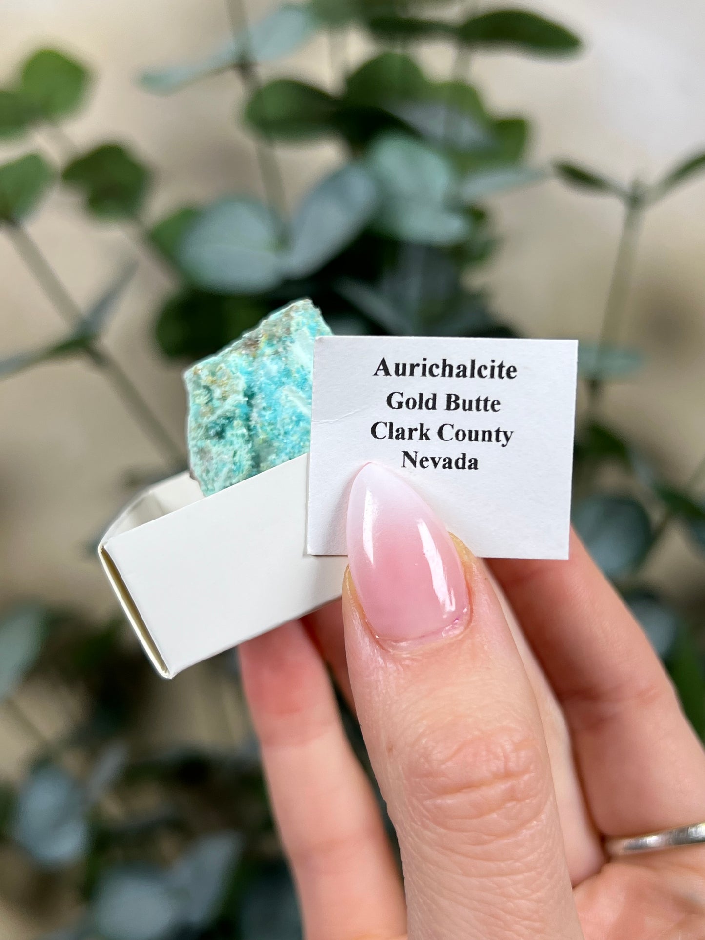 Aurichalcite Specimen - Nevada