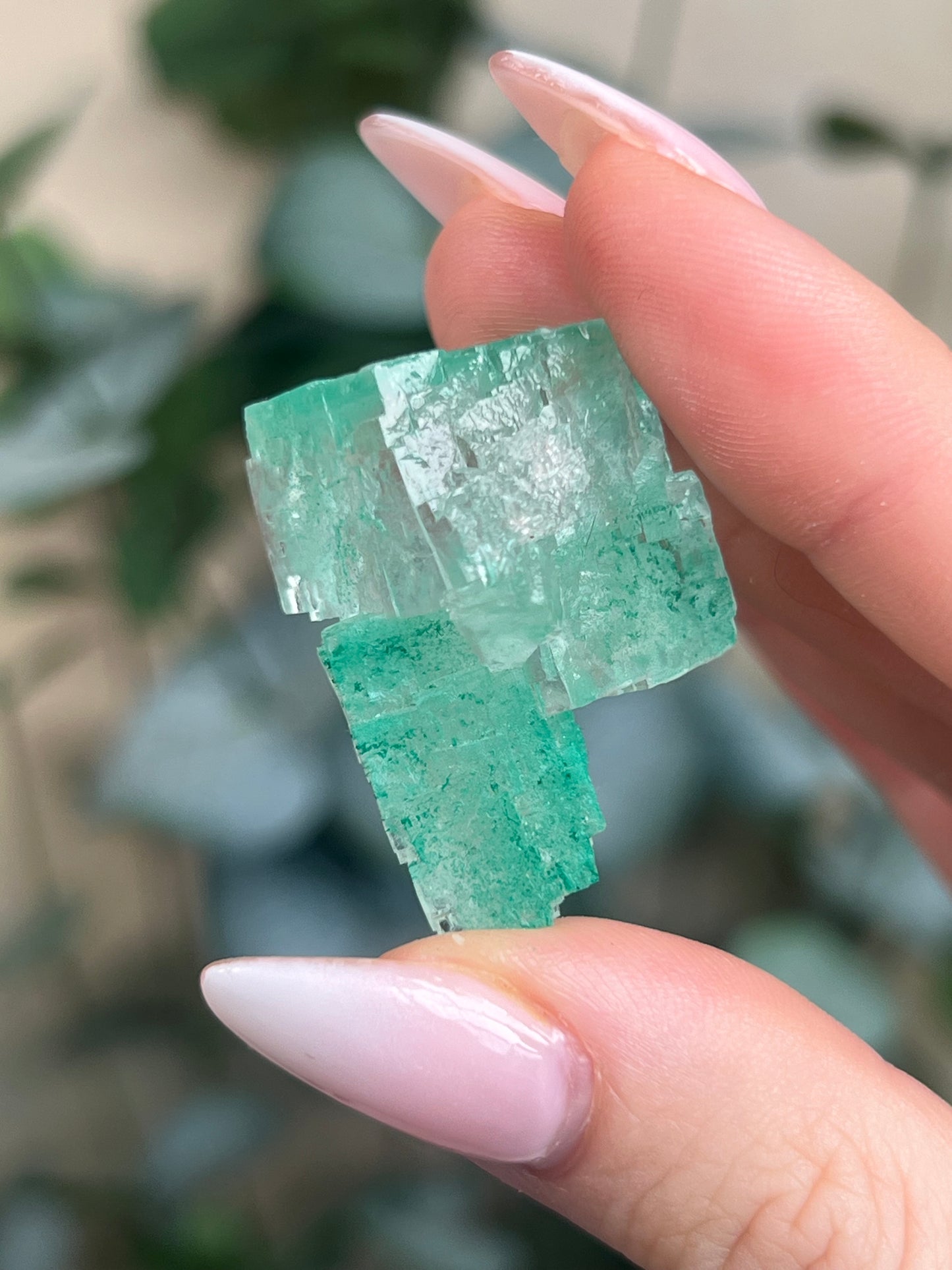 Green Halite with Display Block (55KX)