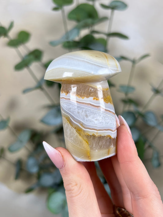 Agate Mushroom (18GW)