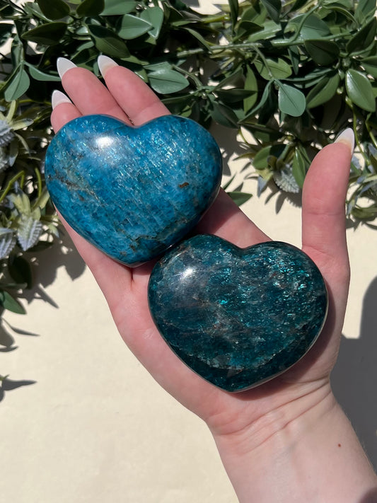 Blue Apatite Hearts (18AA, 20AA)