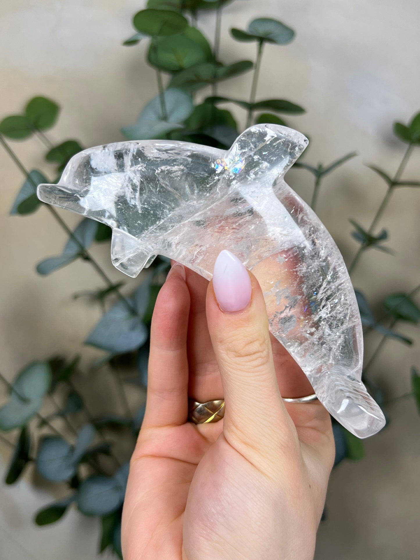 Quartz Dolphin (97EB)