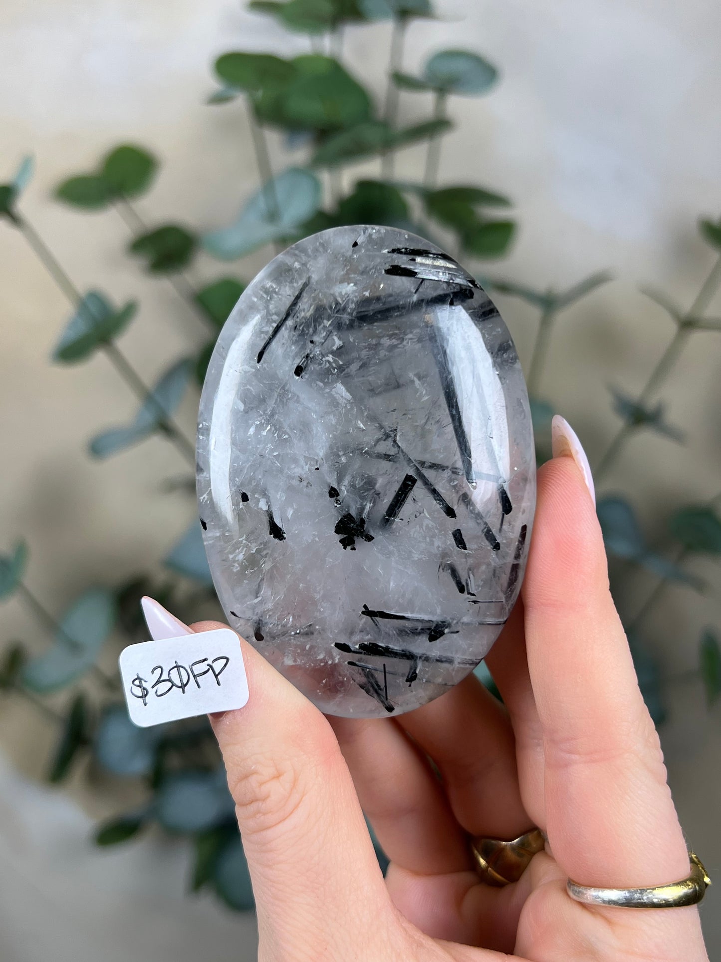 Tourmaline in Quartz Palms (30FP, 33EK)