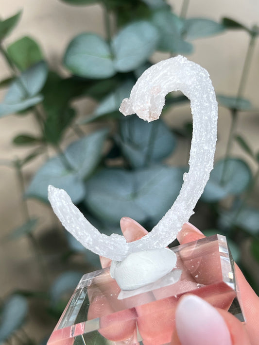 Horn Selenite (26EC)