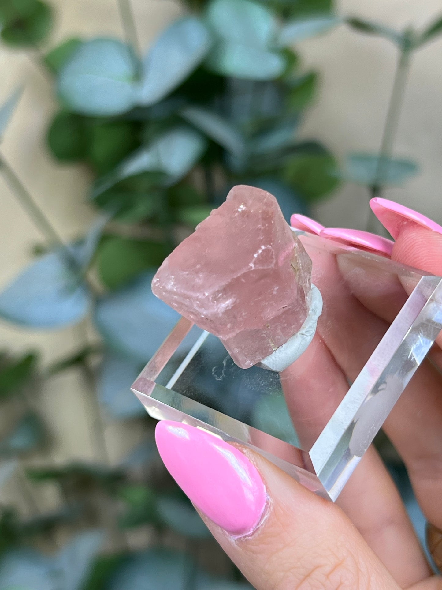 Pink Apatite (46AB)