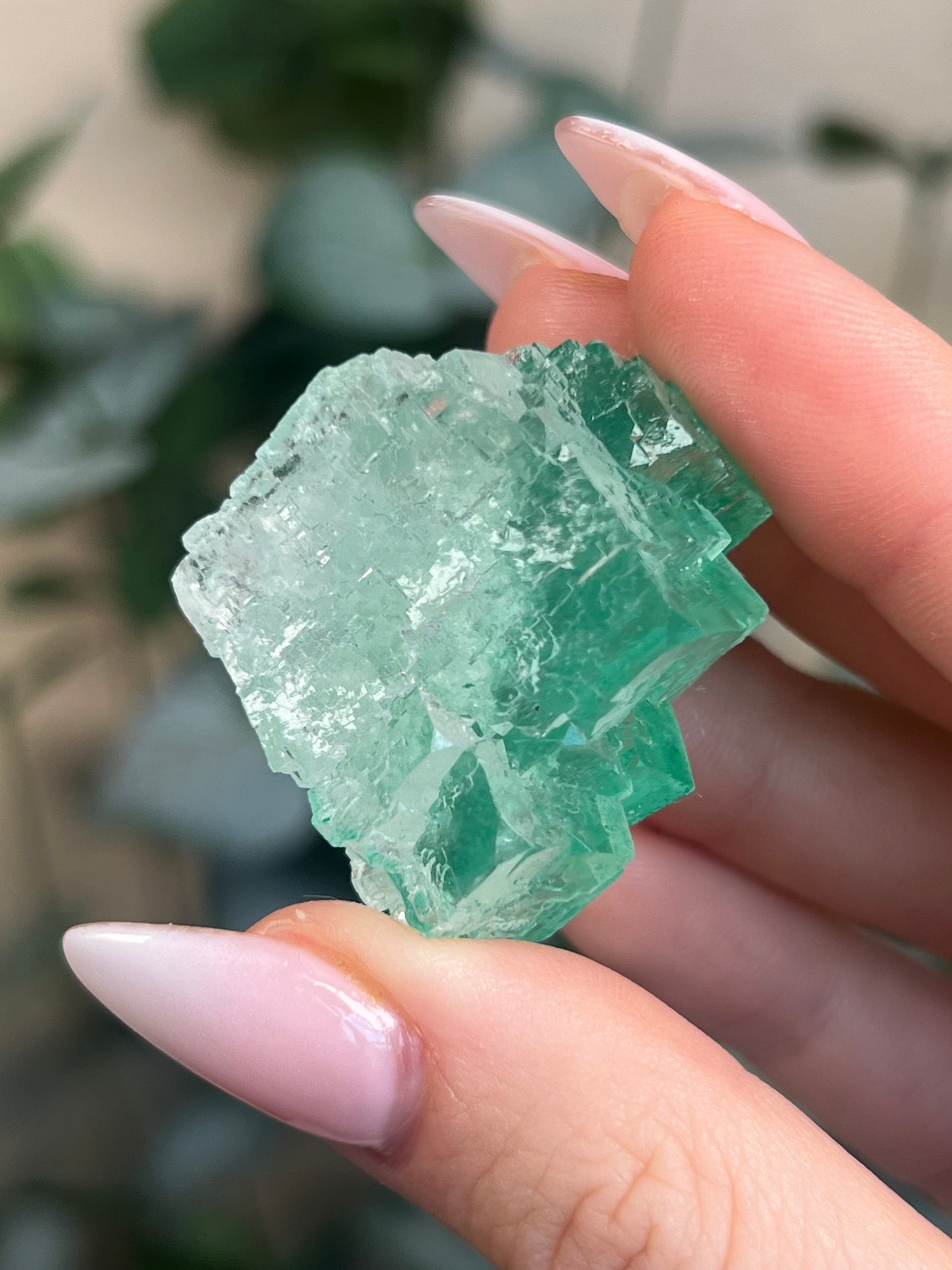 Green Halite with Display Block (55KY)