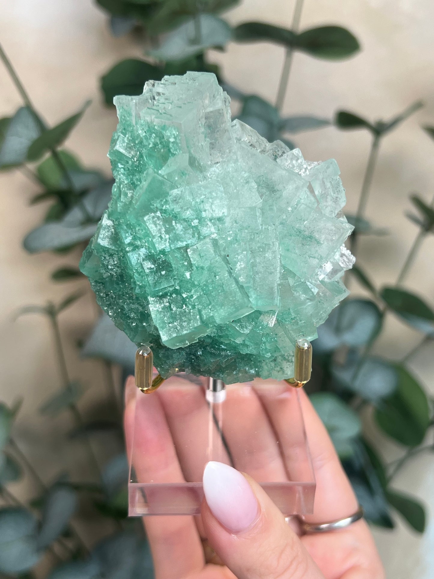 Green Halite with Display Stand (137KB)