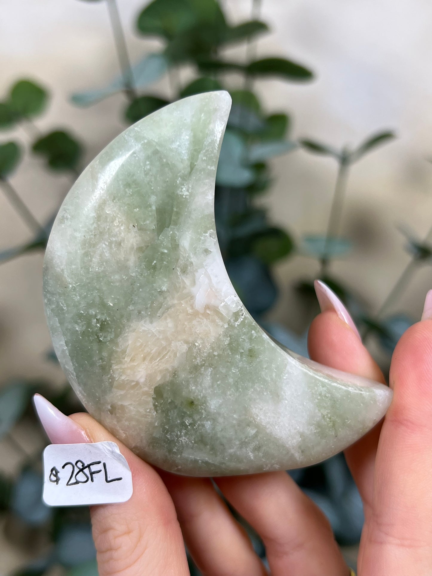 Green Kyanite in Quartz Standing Moons (28FL, 28FM)