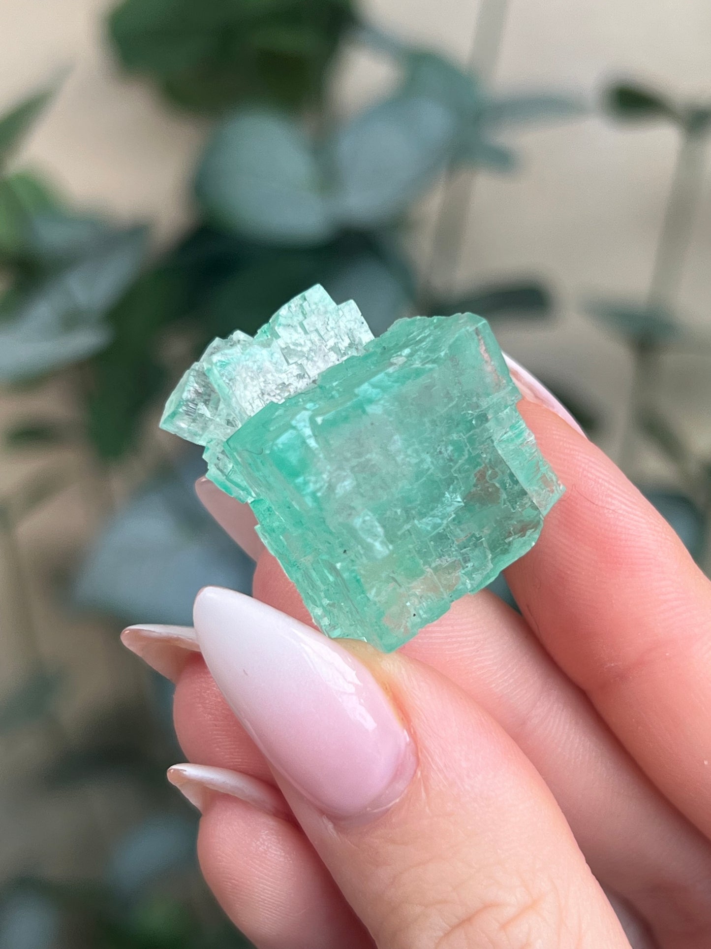 Green Halite with Display Block (60KP)