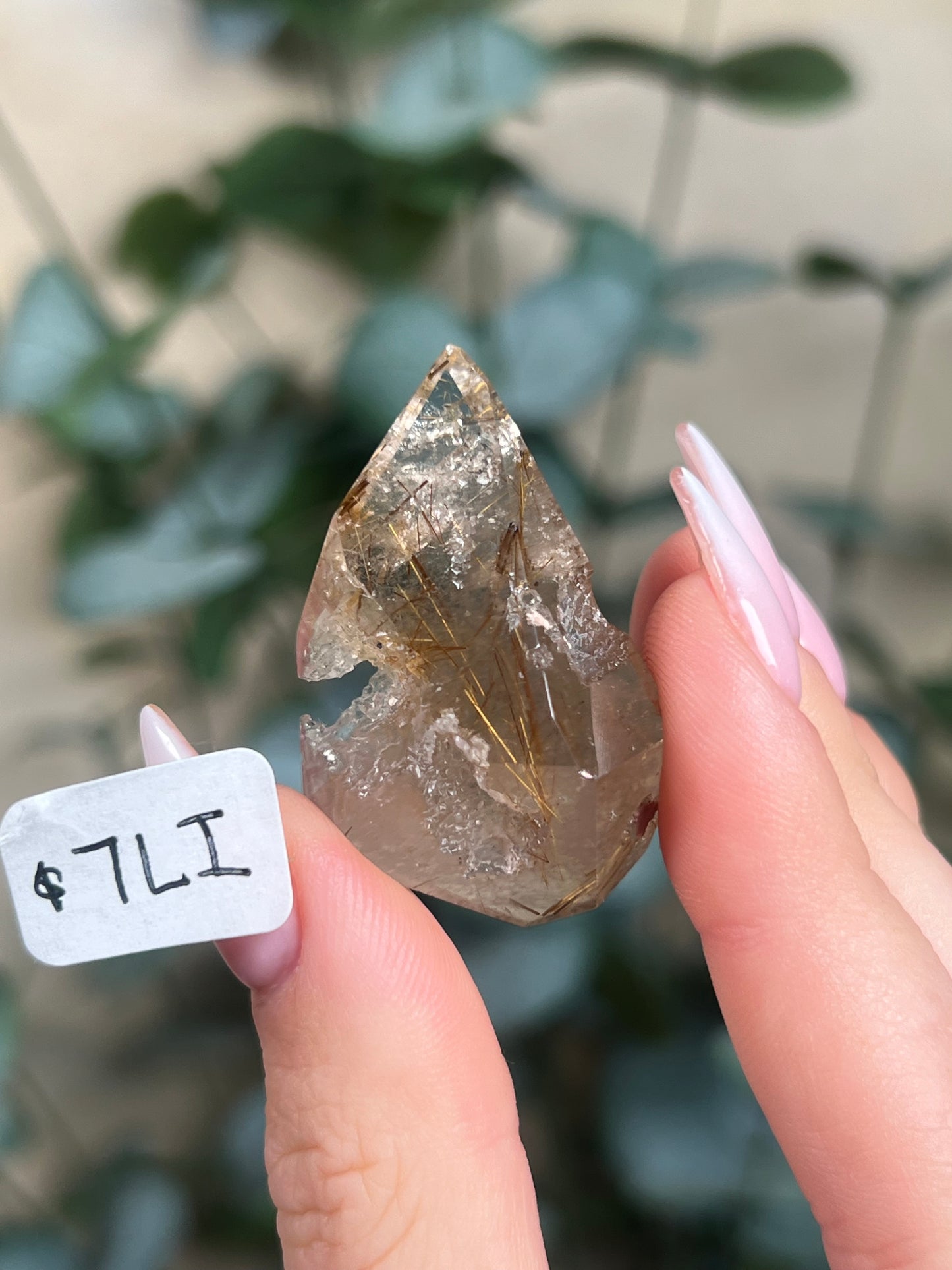 Rutilated Quartz Freeforms (6-21, 10 options)