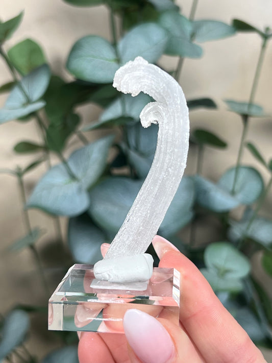 Horn Selenite (22EF)
