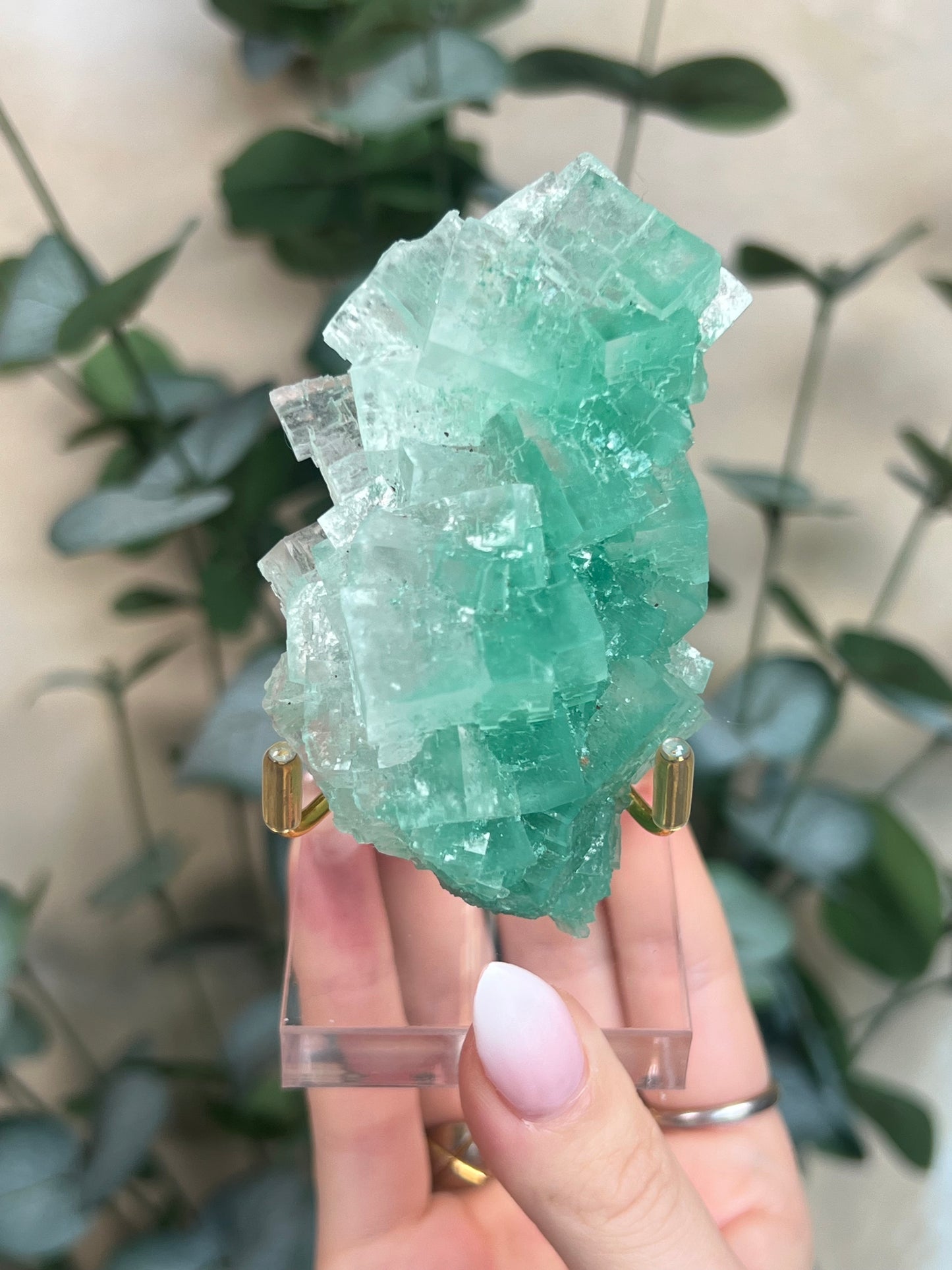 Green Halite with Display Stand (151KA)