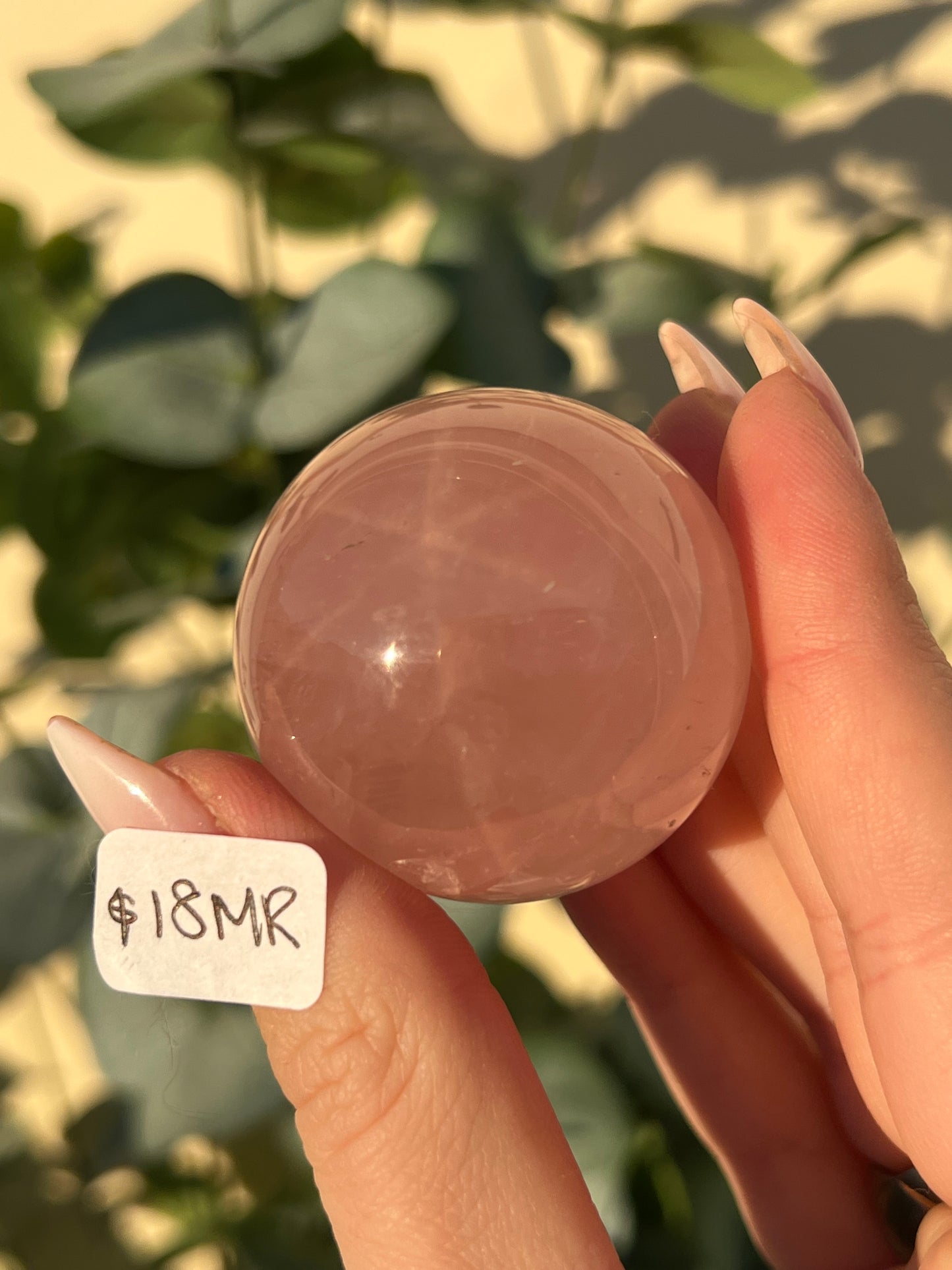 Star Rose Quartz Spheres (18MQ, 18MR, 20PC, 21MD)