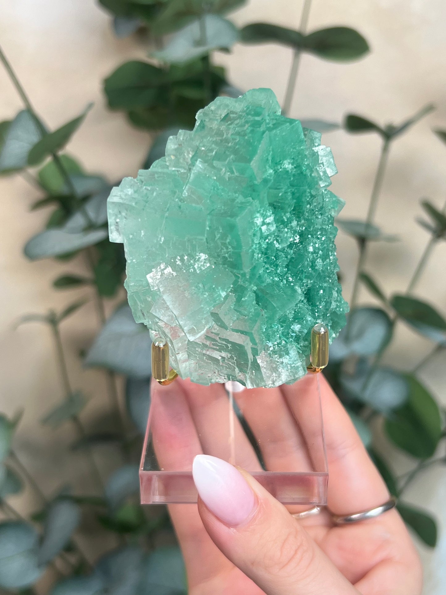 Green Halite with Display Stand (153KA)