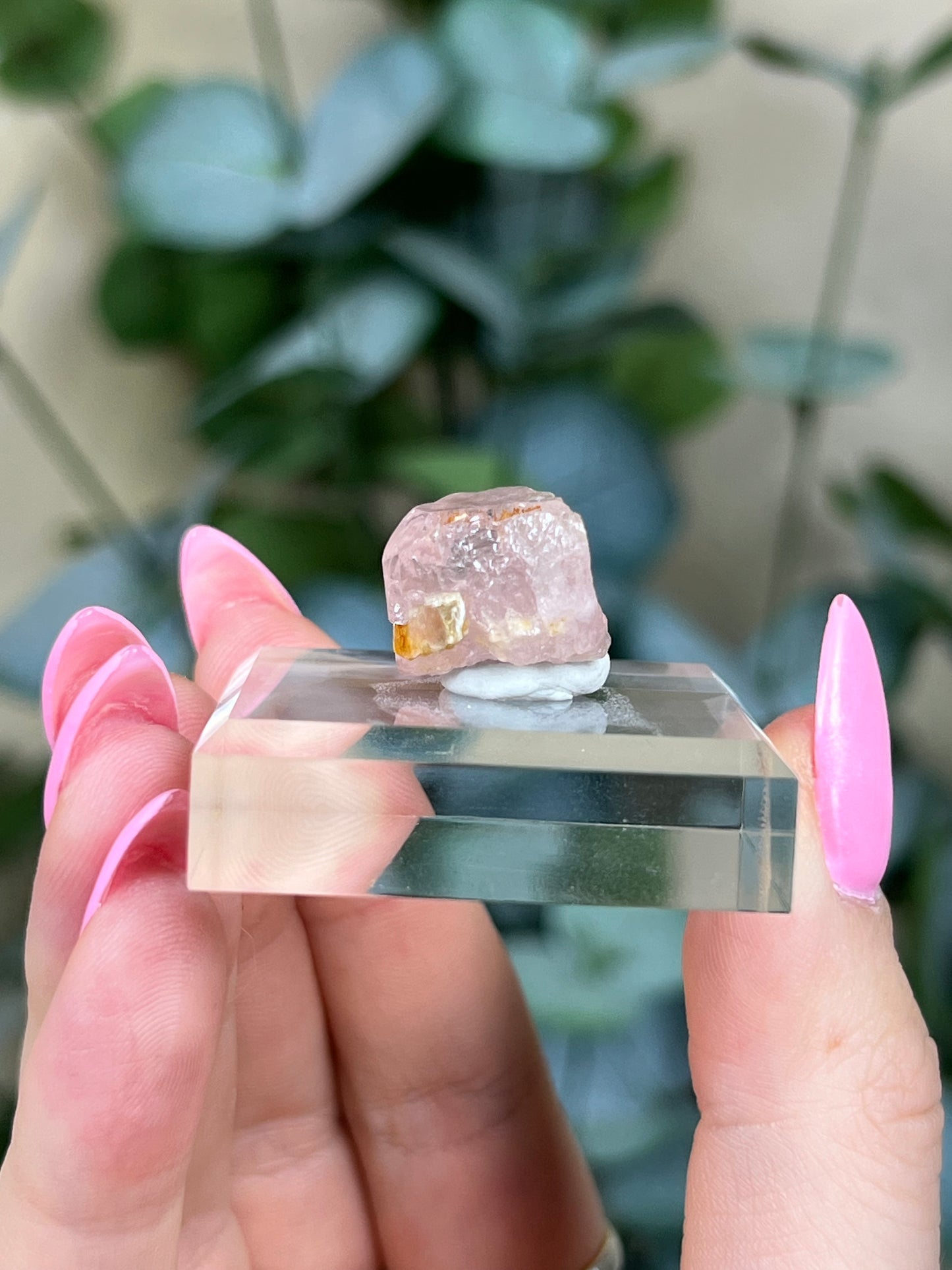 Pink Apatite (19AK)