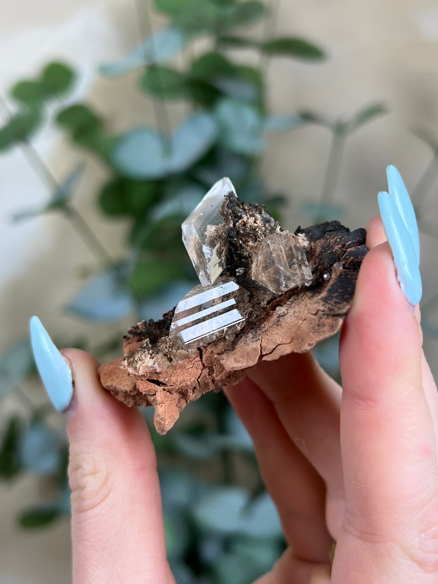 Durango Selenite (51EA)