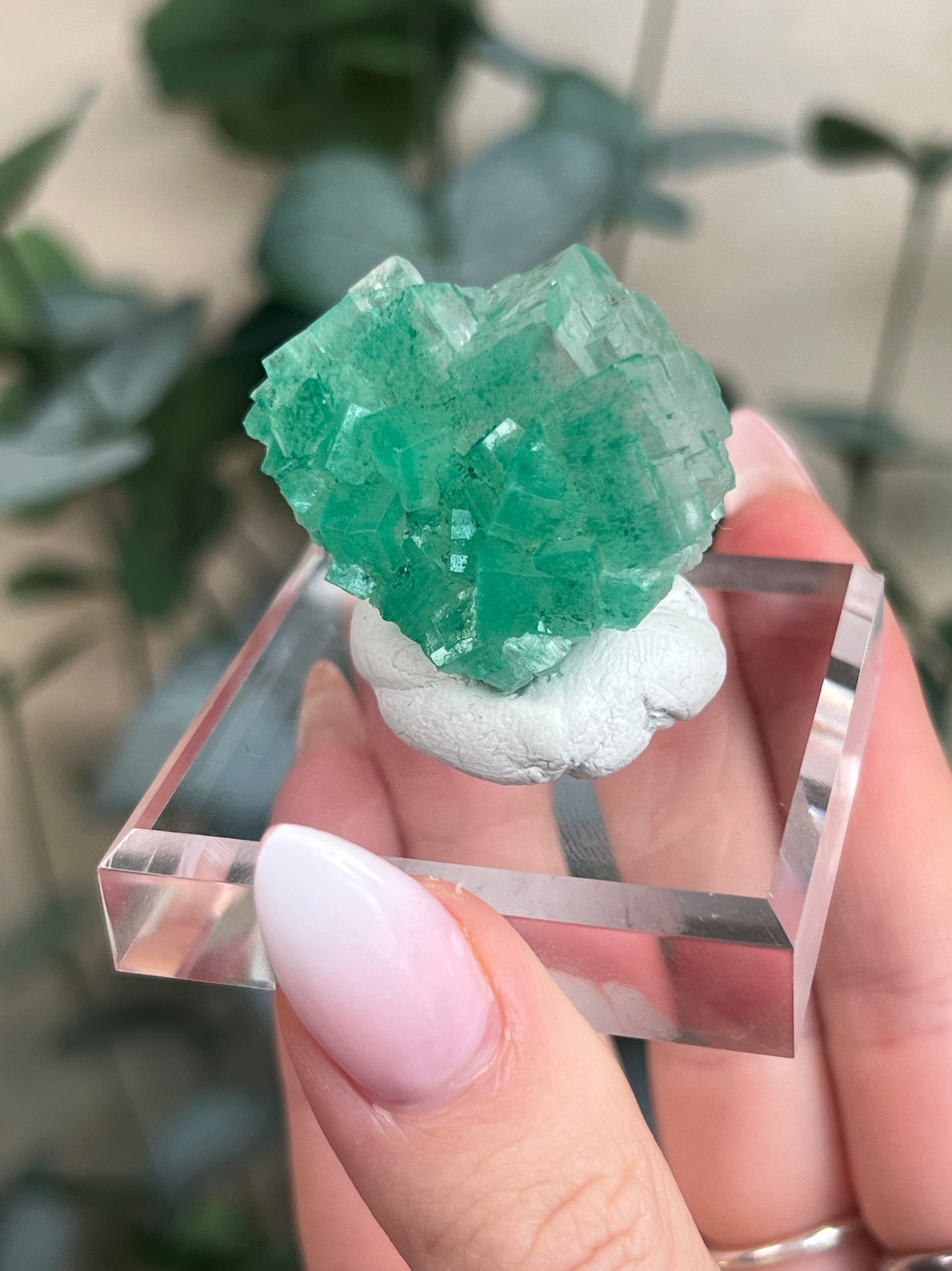 Green Halite with Display Block (55KY)