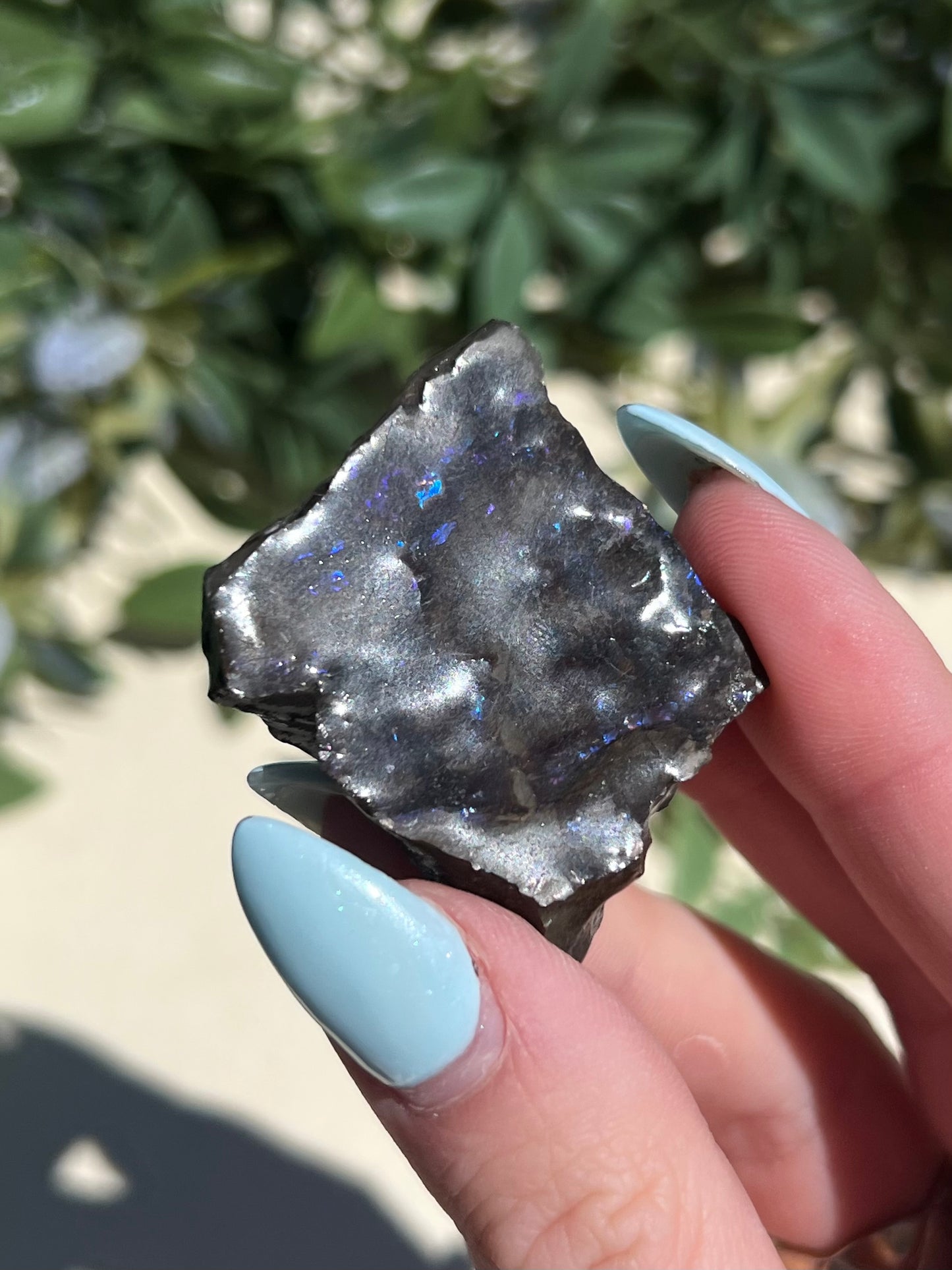 Ammolite (10AI)