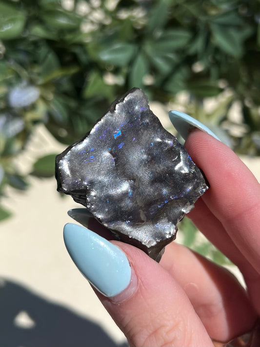 Ammolite (10AI)