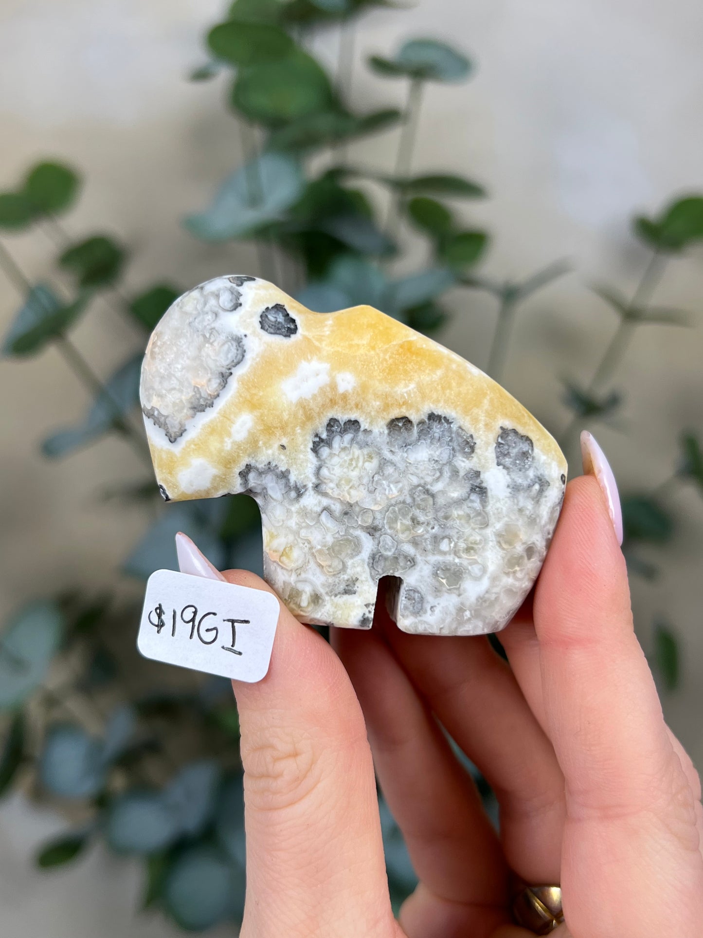 Calcite Buffalos (19GE, 19GF, 19GH-19GJ)