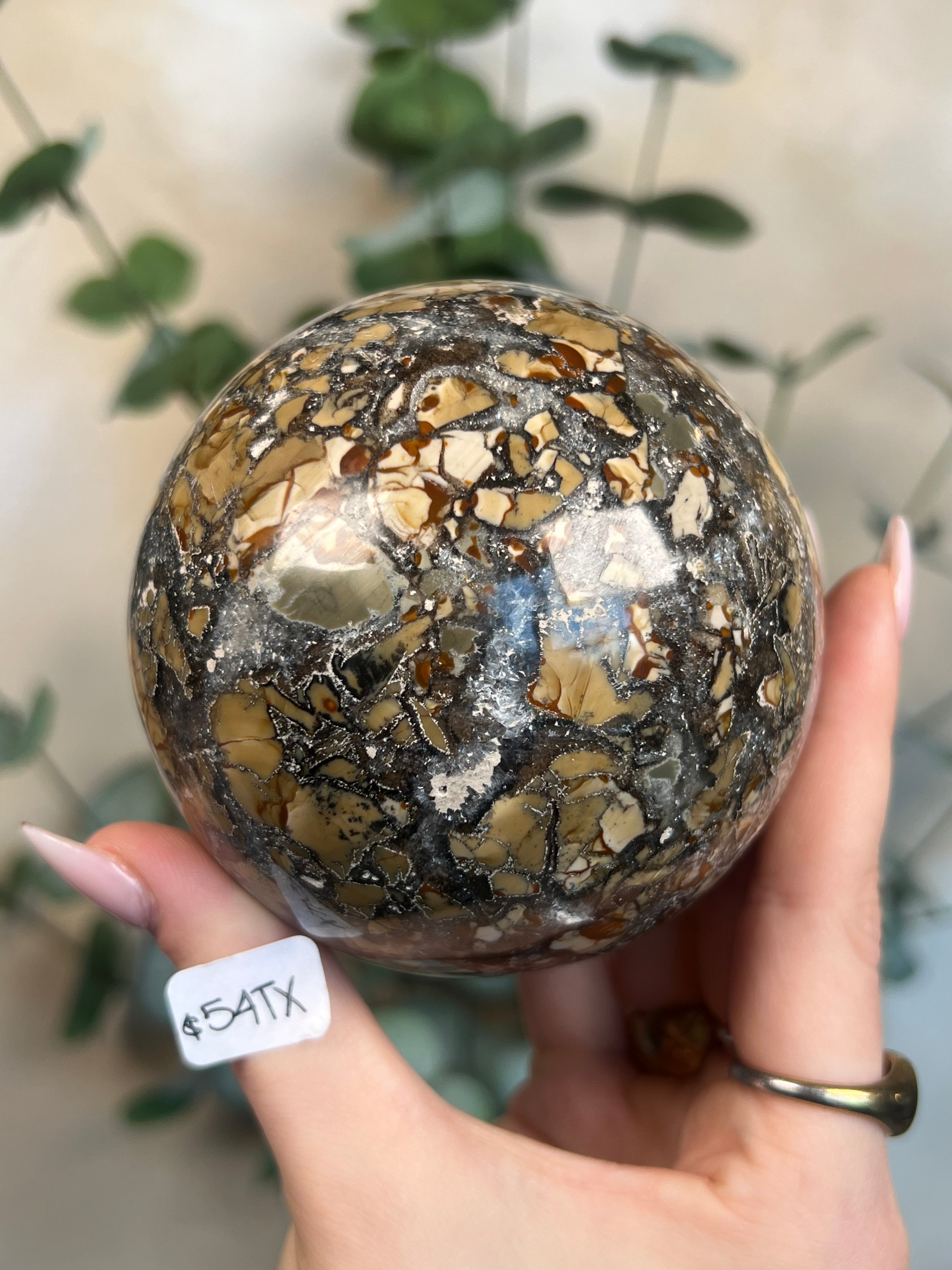 アイビスジャスパー スフィア 【公式通販】