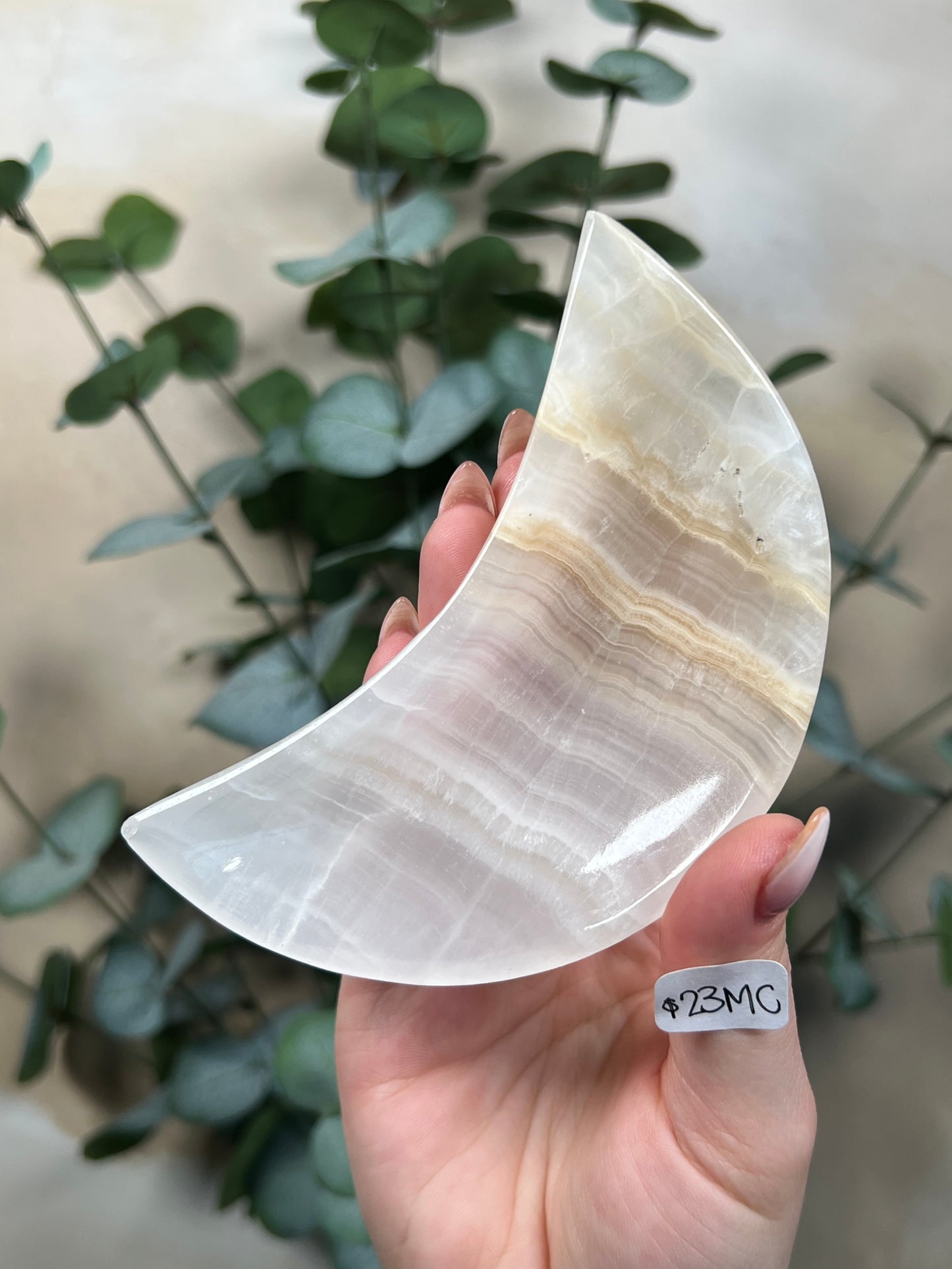 Calcite Moon Dishes (12 options)