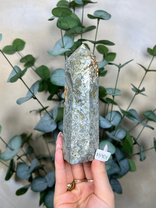 Ibis Jasper Towers (39EY, 50EQ)