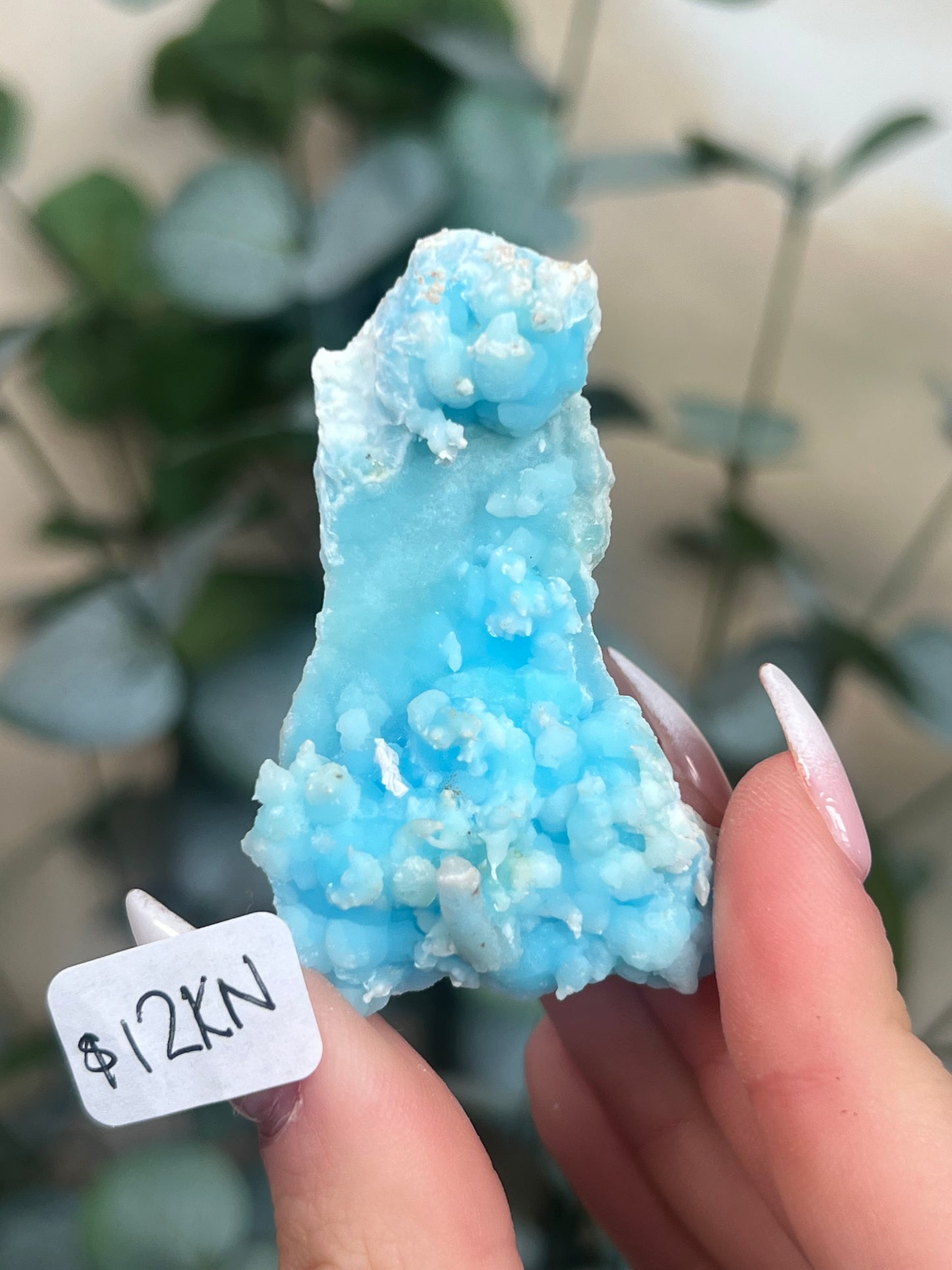 Blue Aragonite (12-16, 7 options)