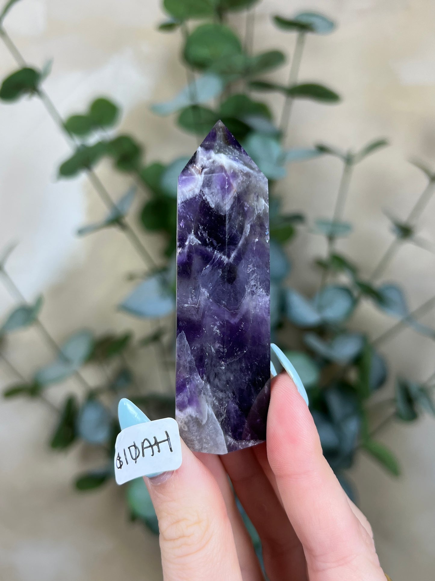Amethyst Towers (10AE-10AH)