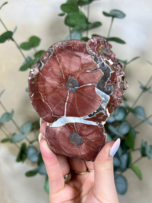 Argentinian Orbicular Jasper (270AA)