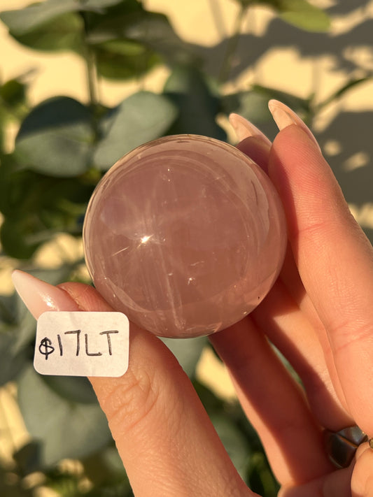 Star Rose Quartz Spheres (13NC, 16MV, 17LS, 17LT)