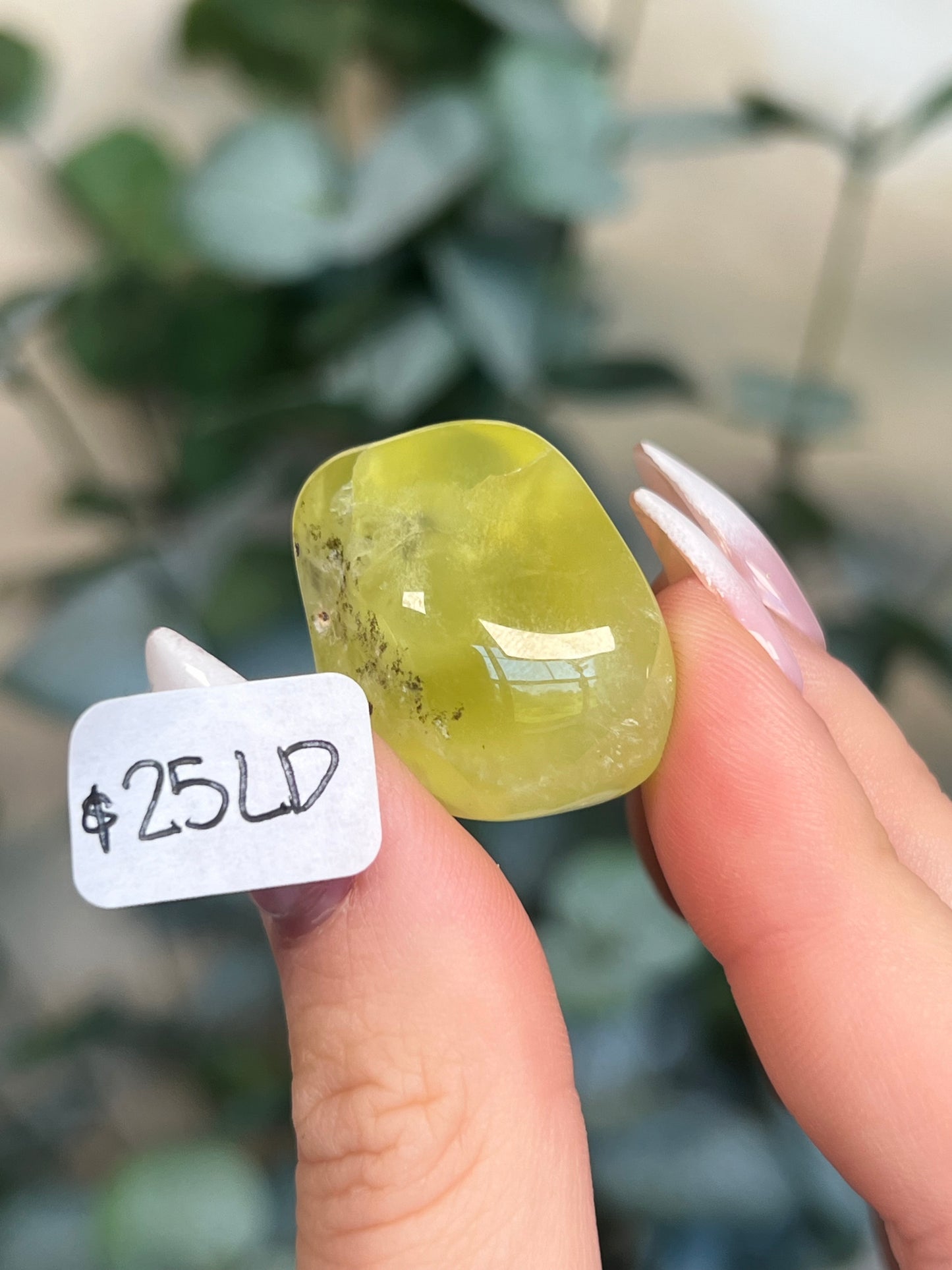 Australian Prehnite Polished (25-30, 4 options)