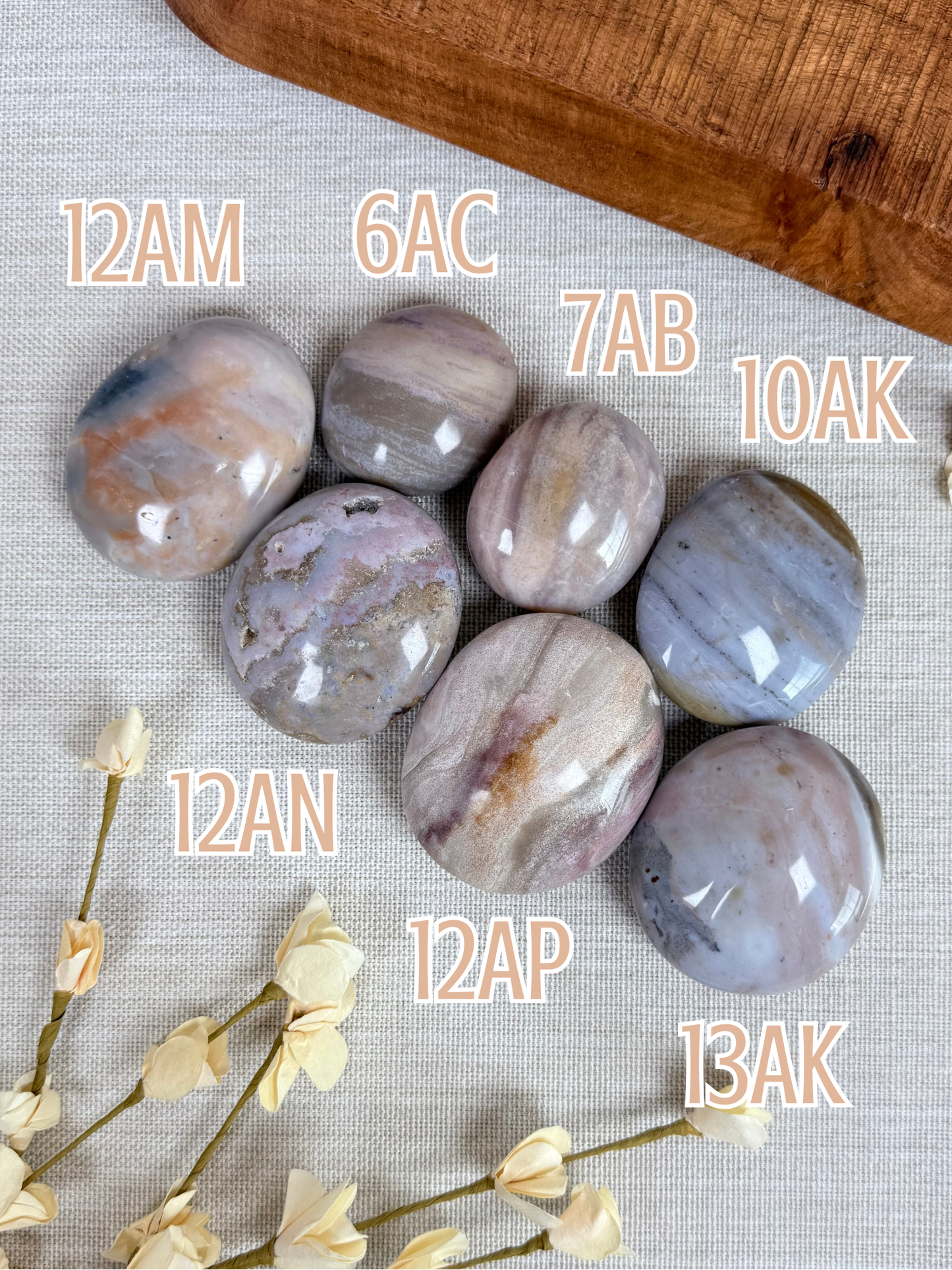Sea Jasper Palms (6AC-13AK)