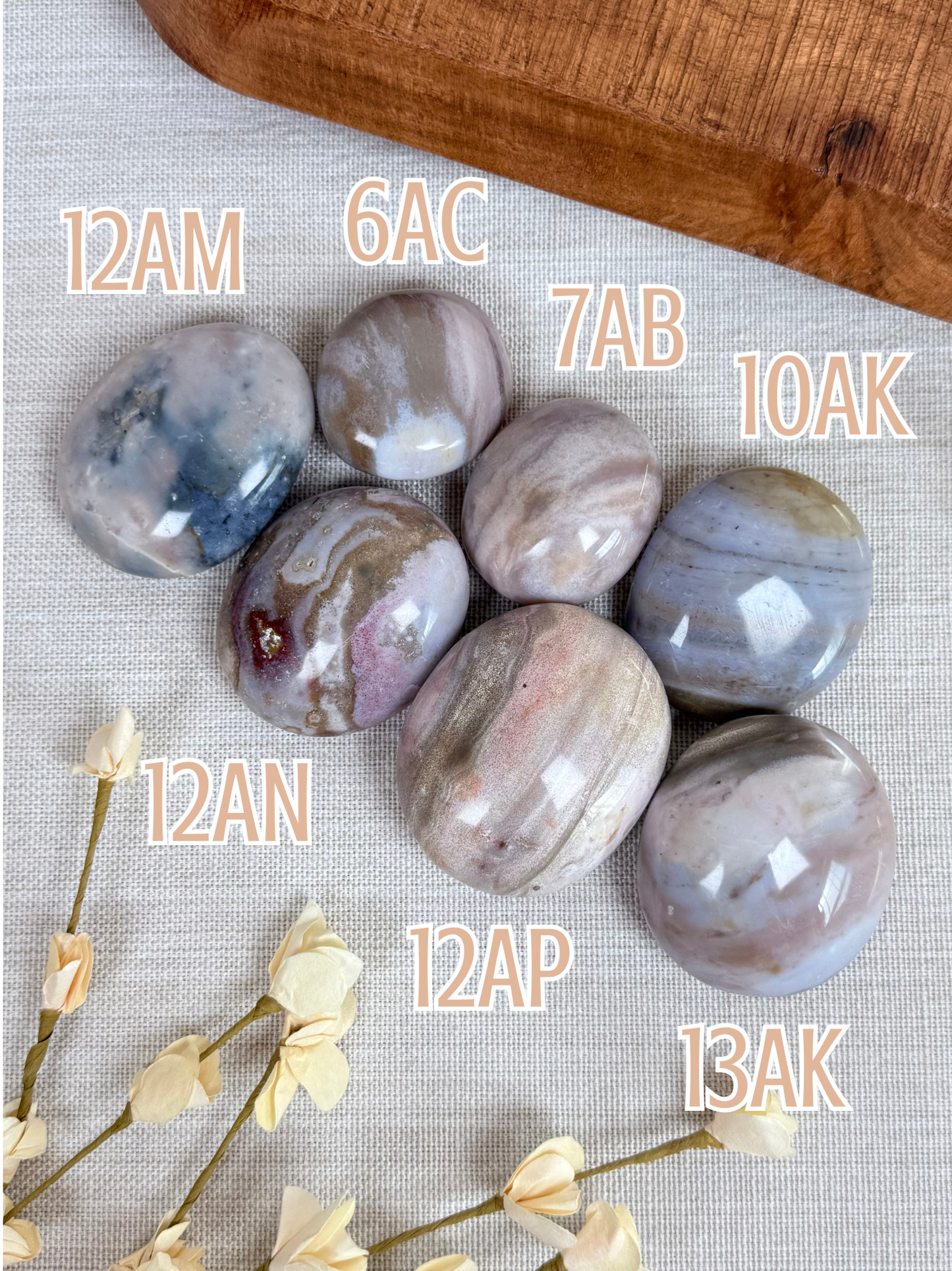 Sea Jasper Palms (6AC-13AK)
