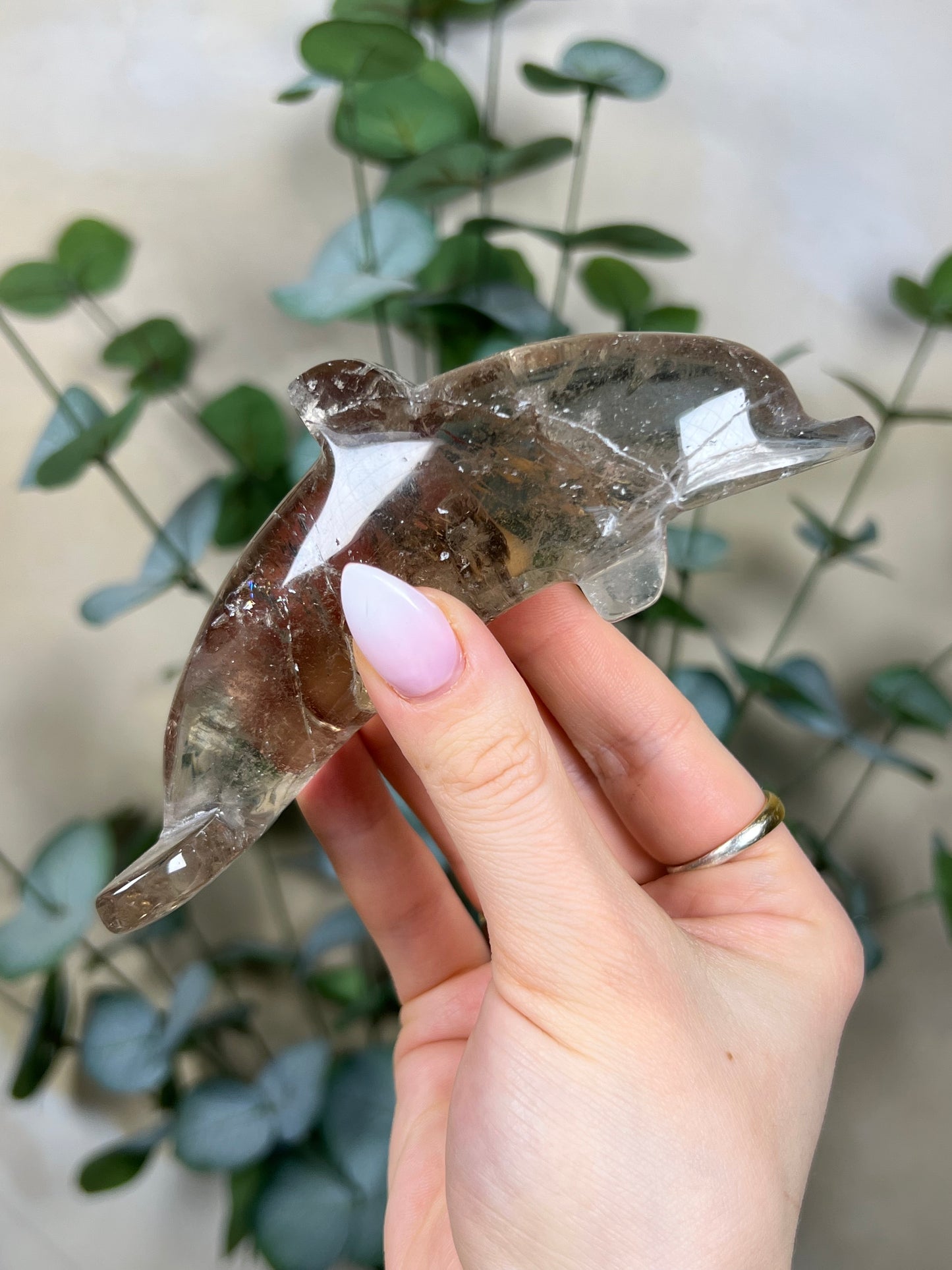 Quartz Dolphin (68EI)