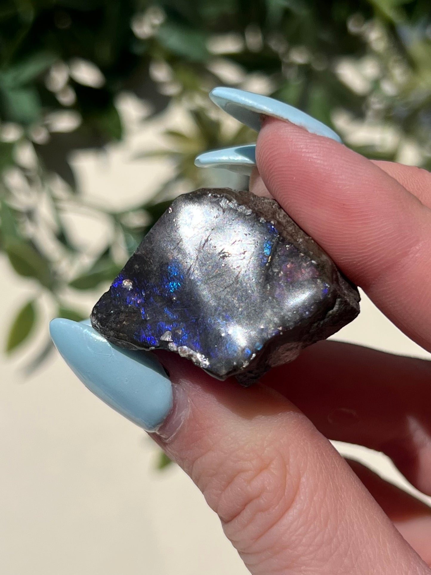 Ammolite (13AH)