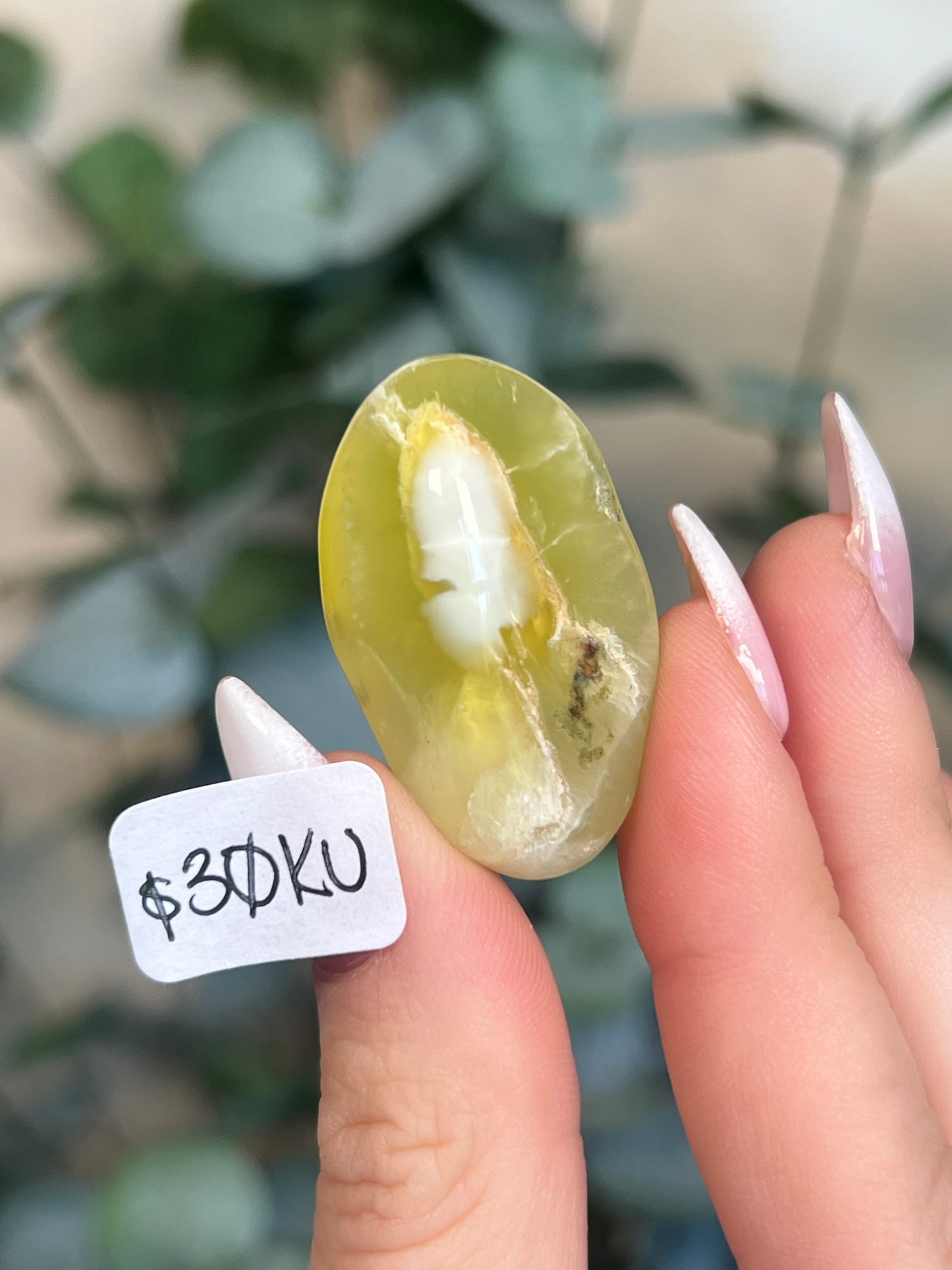 Australian Prehnite Polished (25-30, 4 options)