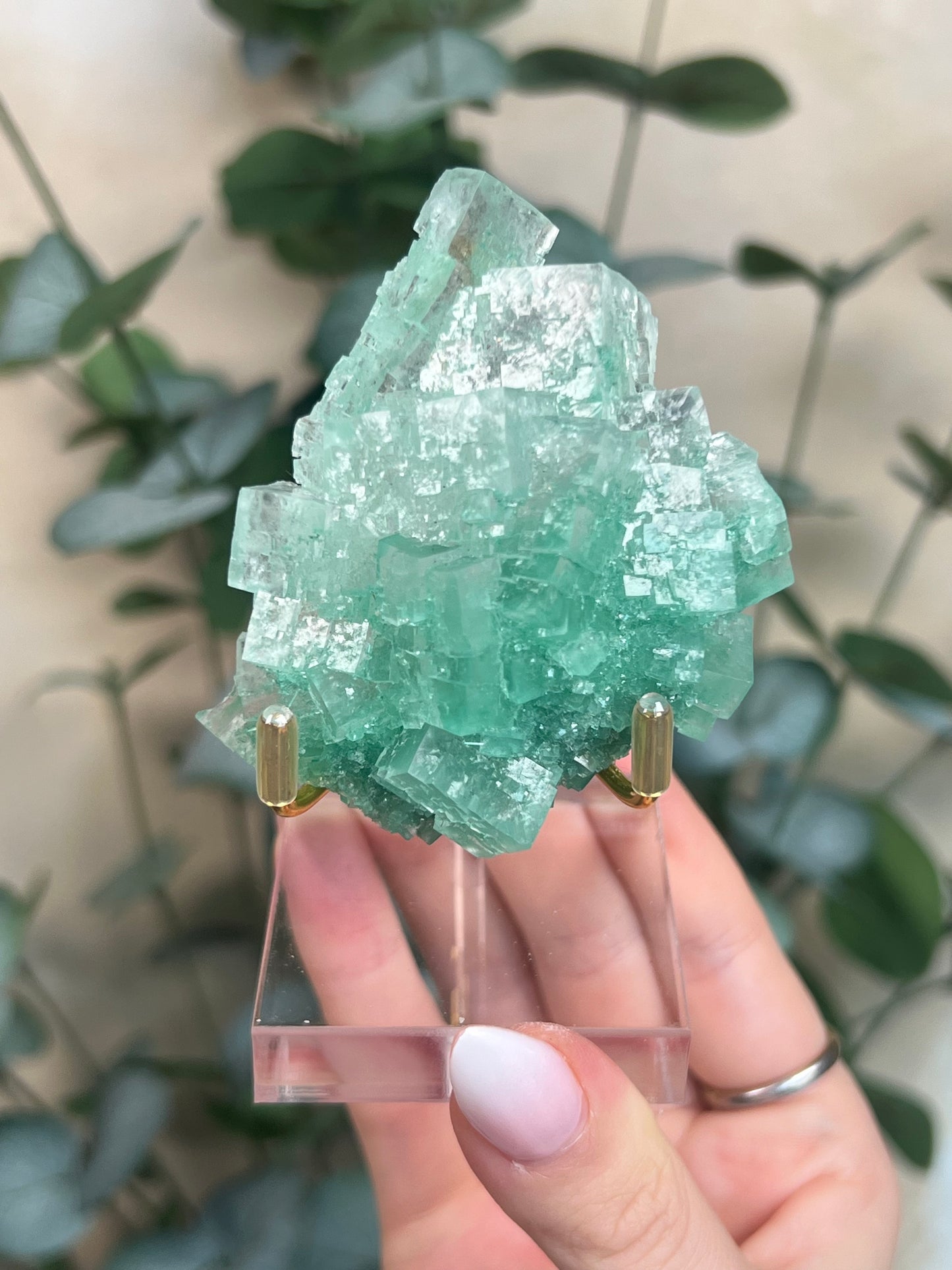 Green Halite with Display Stand (131KA)