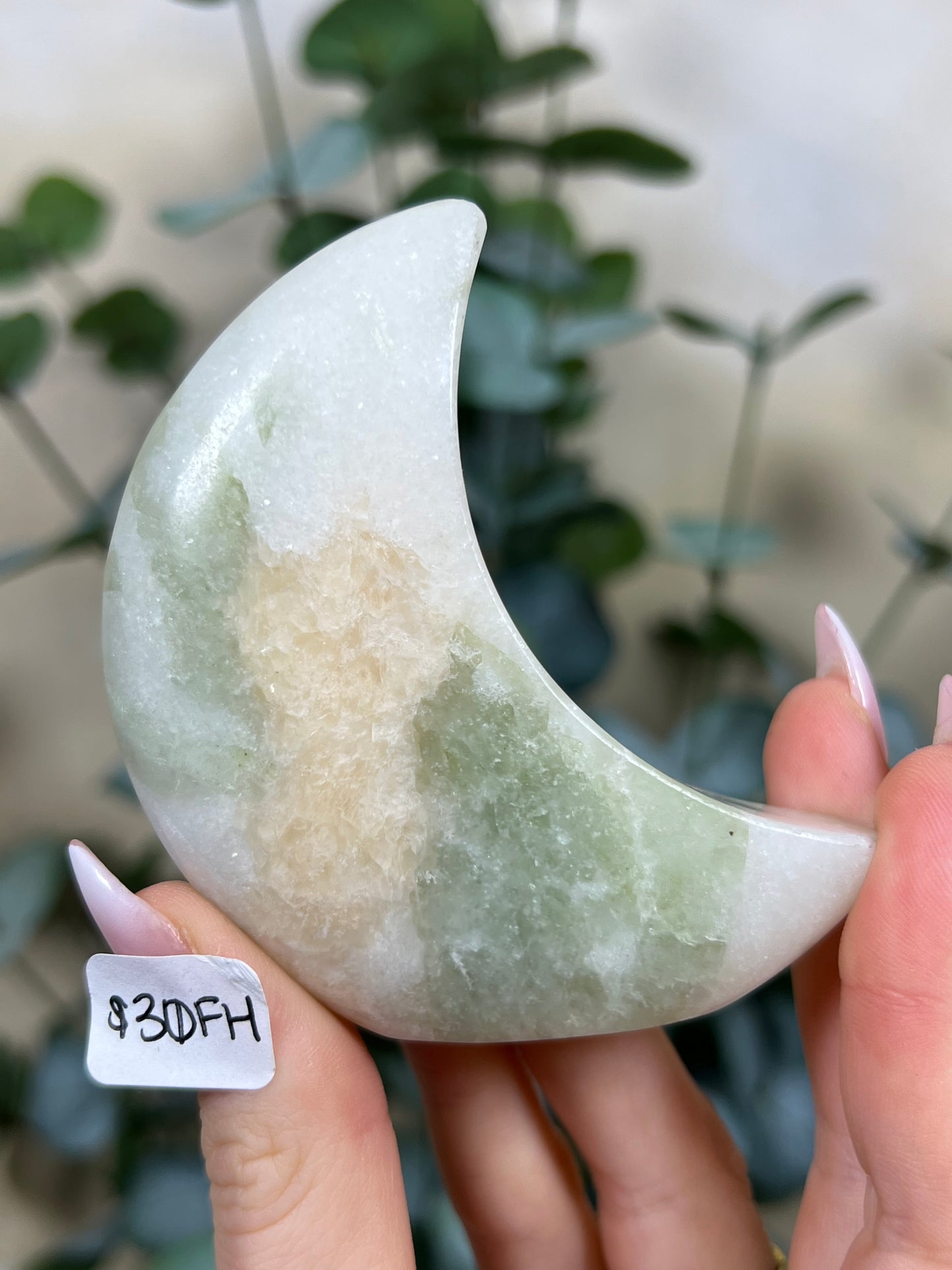 Green Kyanite in Quartz Standing Moons (30FH, 31EW)