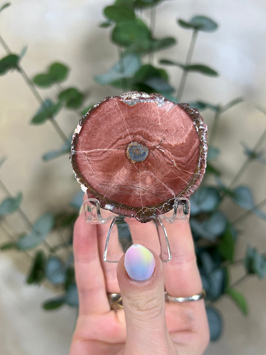Argentinian Orbicular Jasper (59AB)