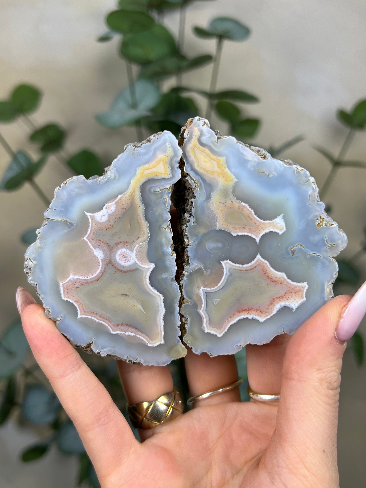 Condor Agate Pair (458EA)