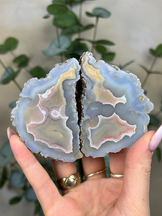Condor Agate Pair (458EA)