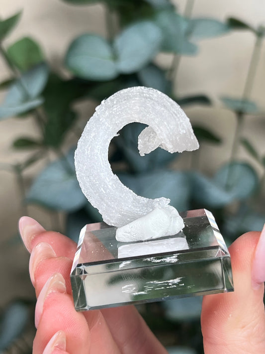 Horn Selenite (22EI)