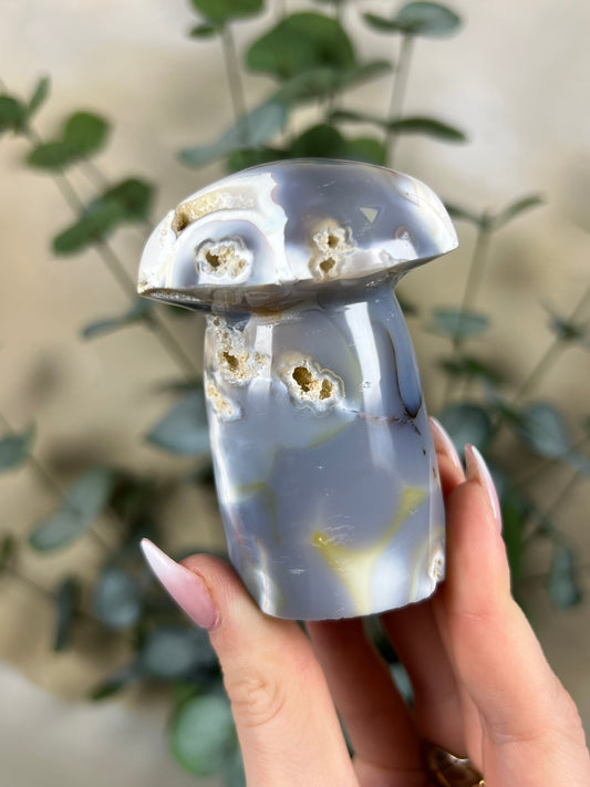 Agate Mushroom (26FV)