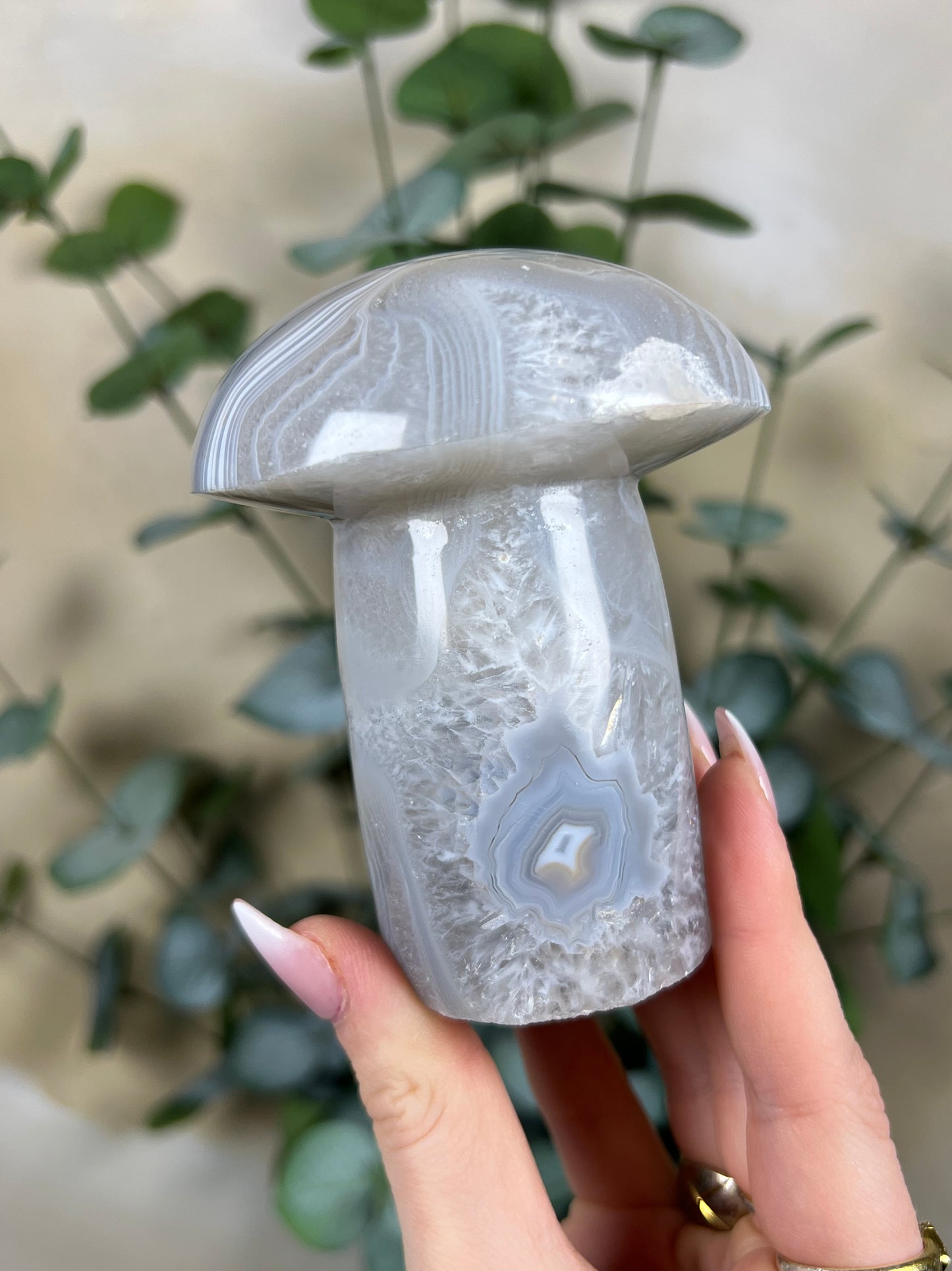 Agate Mushroom (43EN)