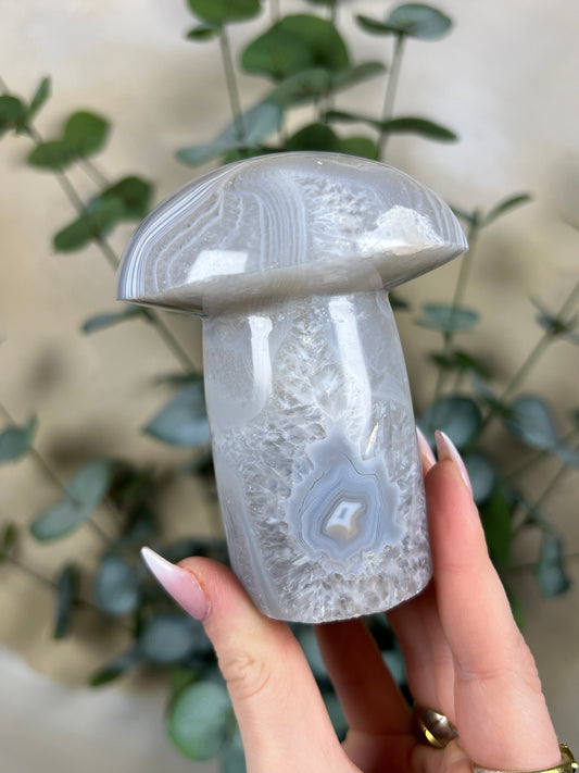 Agate Mushroom (43EN)