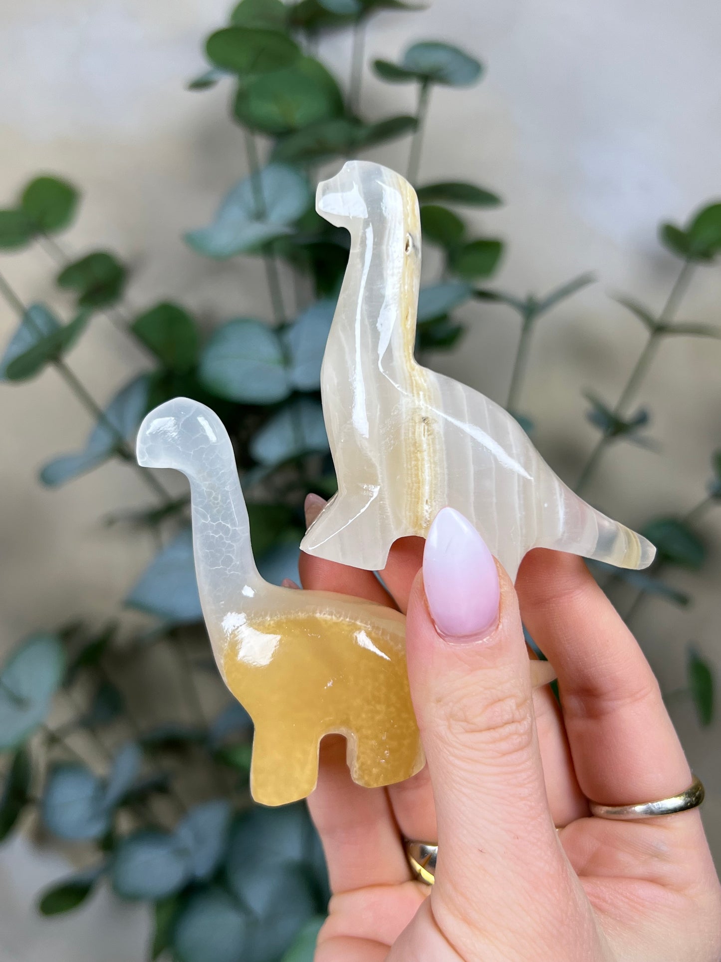 Calcite Brontosaurus