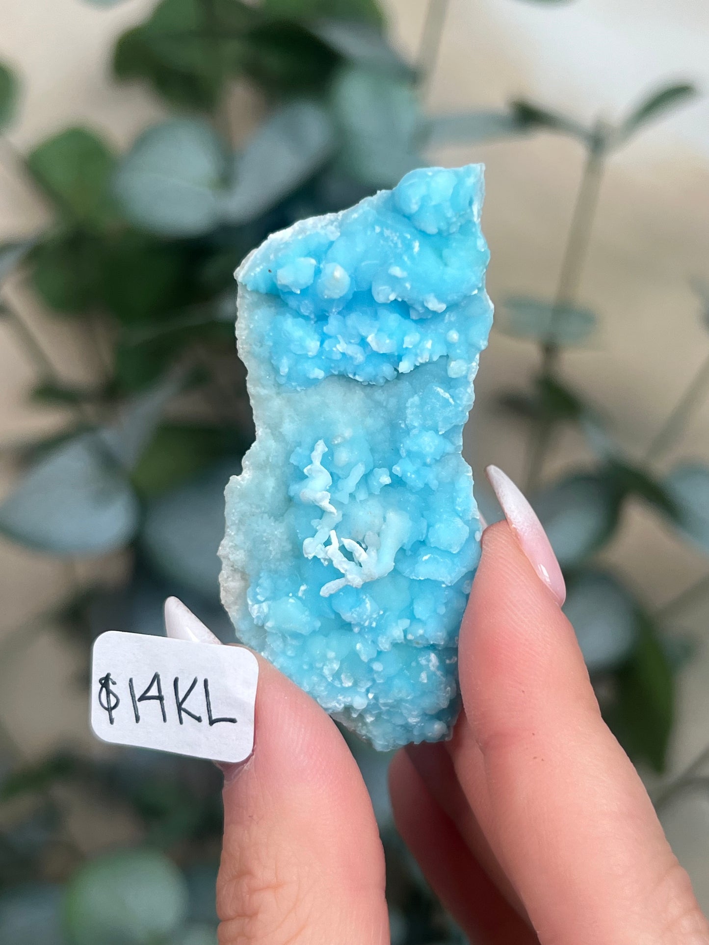 Blue Aragonite (12-16, 7 options)